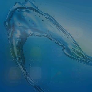 Meet your Posher, Charlene